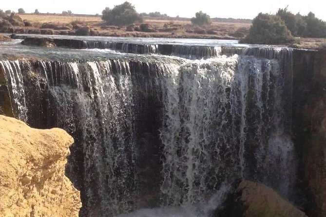 Valley of Whales and Wadi El Rayan Water Falls Day Tour From Cairo - Meeting and Pickup
