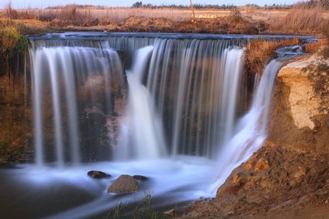 Valley of Whales and Wadi El Rayan Water Falls Day Tour From Cairo - Common Questions