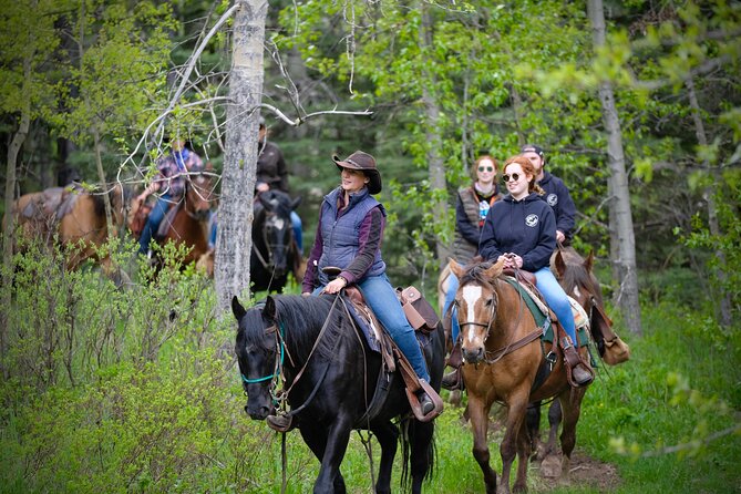 Valley Vista 1.5 Hour Horseback Trail Ride in Kananaskis - Common Questions