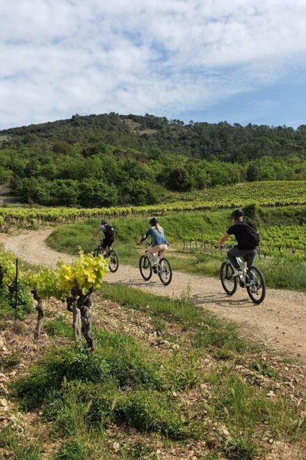 Vallon-Pont-dArc: Electric Bike Wine Tour & Tasting - Booking Details