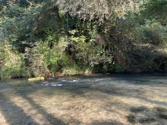 Valnerina: Fly Fishing Day With Guide - Full Description