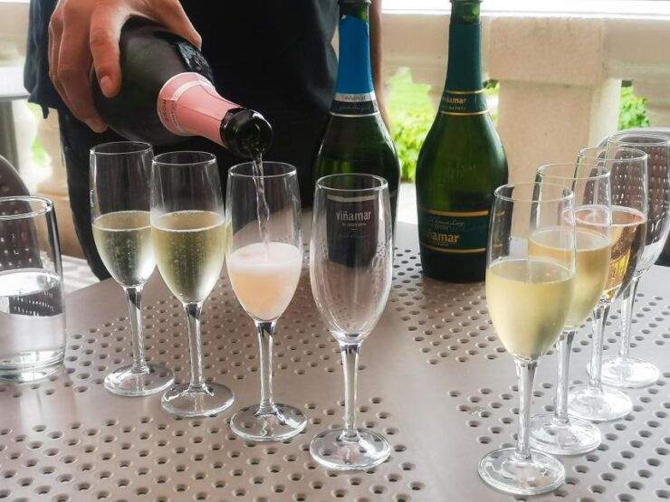 Valparaiso and Casablanca: Private Tour With Sparkling Wine - Tour Experience