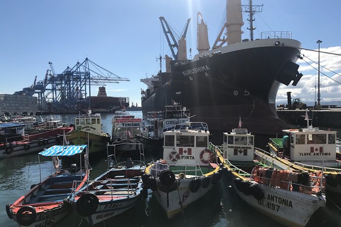 Valparaiso City Tour LGBT - Highlights of the Experience
