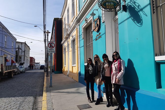 Valparaiso Wine Tour: Delve Into Chile's Charm - Valparaisos Wine Region