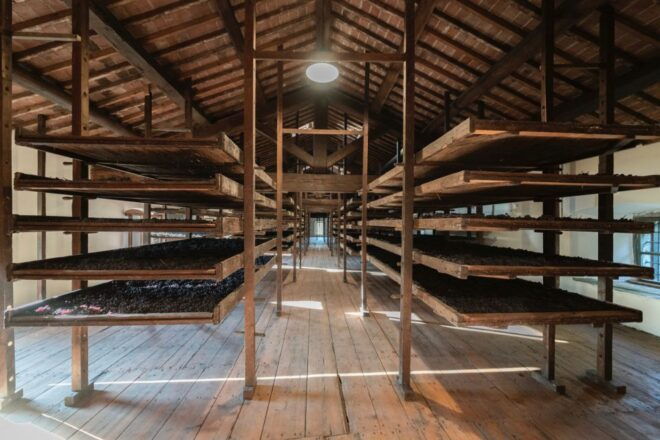 Valpolicella: Amarone Chateau Guided Tour and Wine Tasting - Full Description