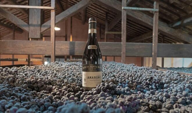 Valpolicella: Amarone Chateau Guided Tour and Wine Tasting - Learn About Traditional Winemaking Techniques