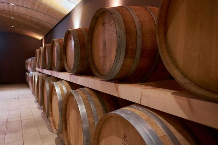 Valpolicella: Amarone Experience With Cantina Visit - Activity Details