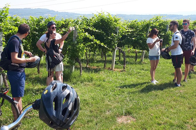 Valpolicella Bike Tour From Verona - Tour Highlights