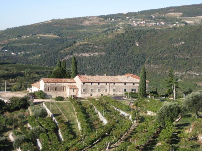 Valpolicella: Champagne Experience With Premium Wines - Customer Reviews