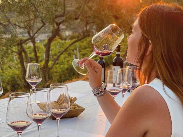 Valpolicella Classica: Red Tasting in the Vineyard - Booking Information