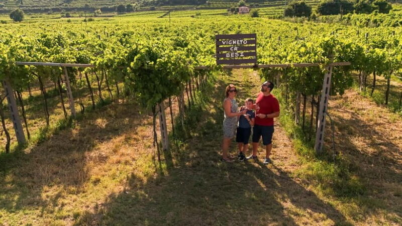 VALPOLICELLA: DISCOVER IT IN 5 GLASSES - Valpolicella: Discover It in 5 Glasses — A Practical and Authentic Tasting Experience in Veneto