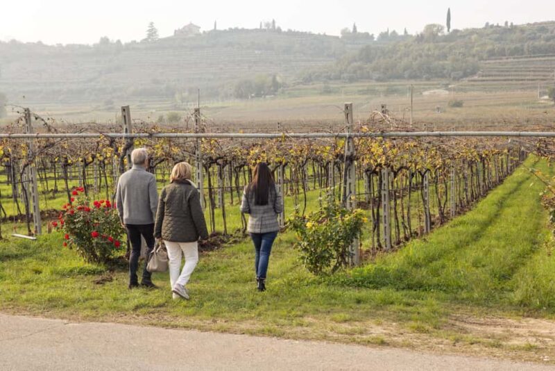 VALPOLICELLA: DISCOVER IT IN 5 GLASSES - The Value of the Experience