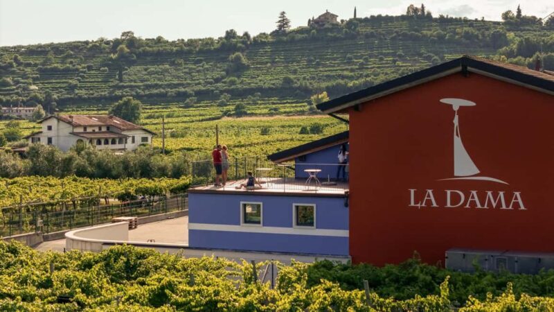 VALPOLICELLA: DISCOVER IT IN 5 GLASSES - Who Should Book This Experience?