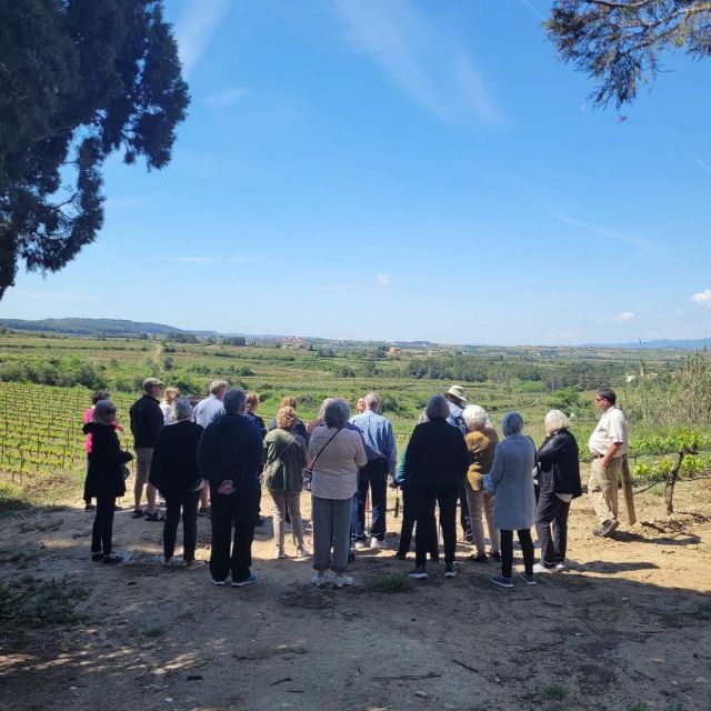 Valpolicella: Guided Wine Tour With Tastings of Local Wines - Tour Overview