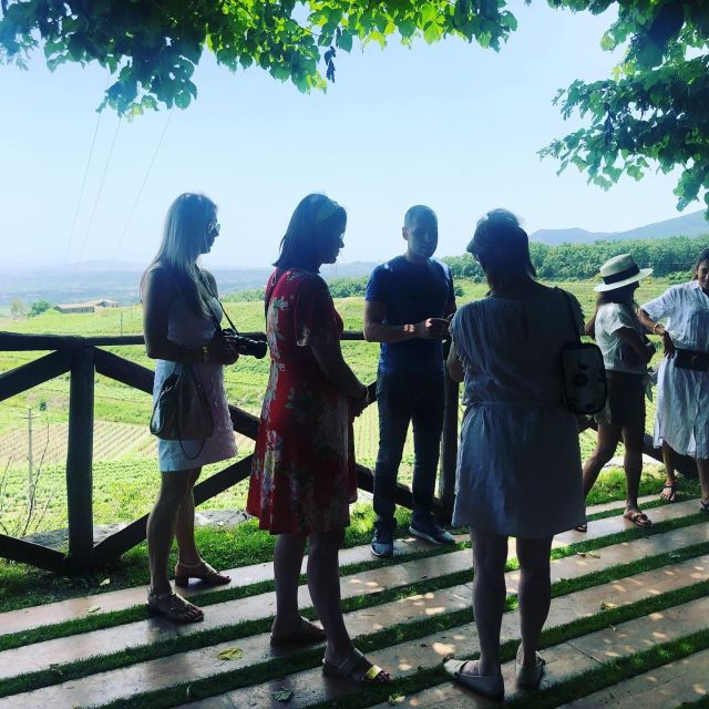 Valpolicella: Guided Wine Tour With Tastings of Local Wines - Experience Highlights