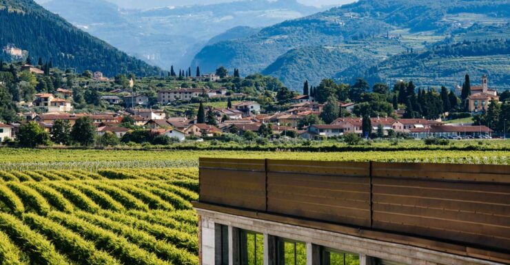 Valpolicella: Lunch or Dinner Tasting With Amarone - Activity Details