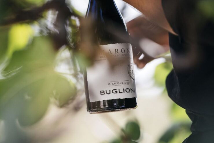 Valpolicella: Lunch or Dinner Tasting With Amarone - Experience Highlights