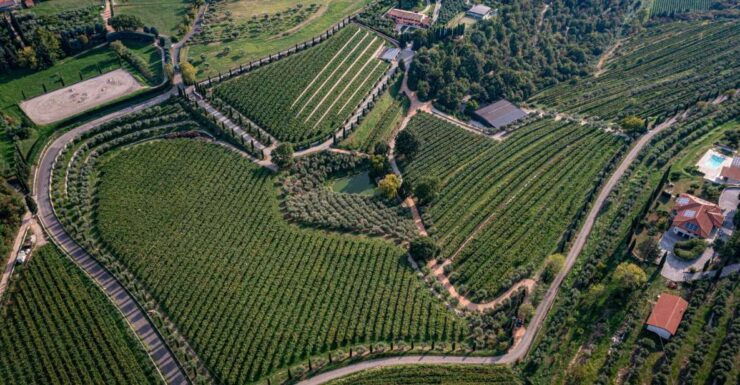 Valpolicella: Organic Winery Tour and Wine Tasting - Good To Know