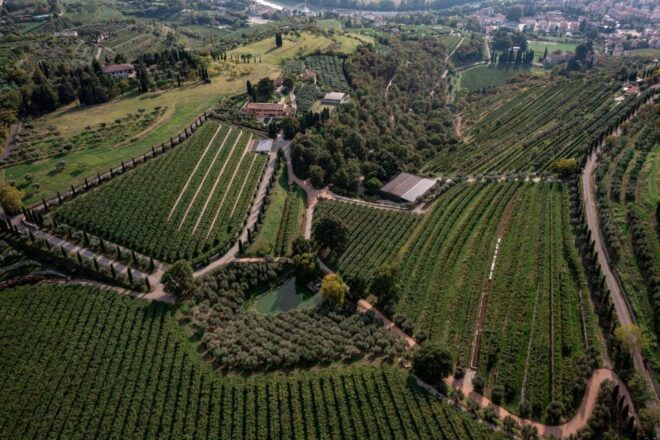Valpolicella: Organic Winery Tour and Wine Tasting - Highlights