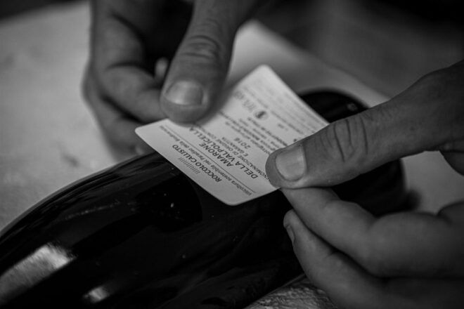 Valpolicella: Organic Winery Tour and Wine Tasting - Important Information