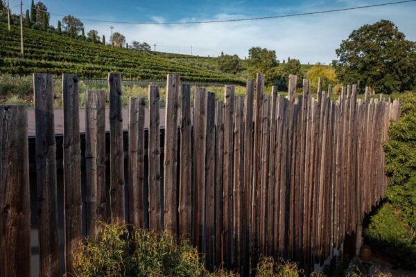 Valpolicella: Organic Winery Tour and Wine Tasting - The Sum Up