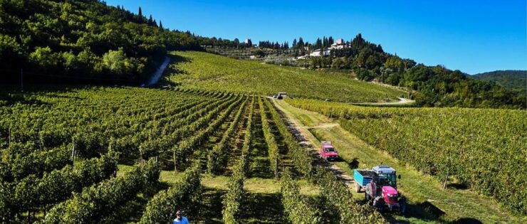 Valpolicella Private Tour Wine Tasting With Lunch - Tour Overview