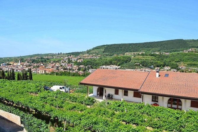 Valpolicella - the Wine Paradise - The Terroir of Valpolicella