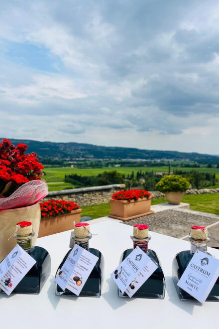 Valpolicella: Wine and Balsamic Dressing Tasting in Castrum. - Tasting Highlights