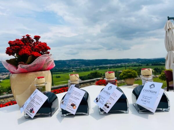 Valpolicella: Wine and Balsamic Dressing Tasting in Castrum. - Renowned Sculptures