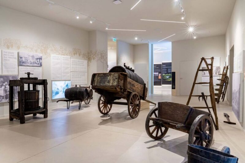 Valpolicella: Wine experience Valpolicella in a glass - An In-Depth Look at the Valpolicella Wine Experience