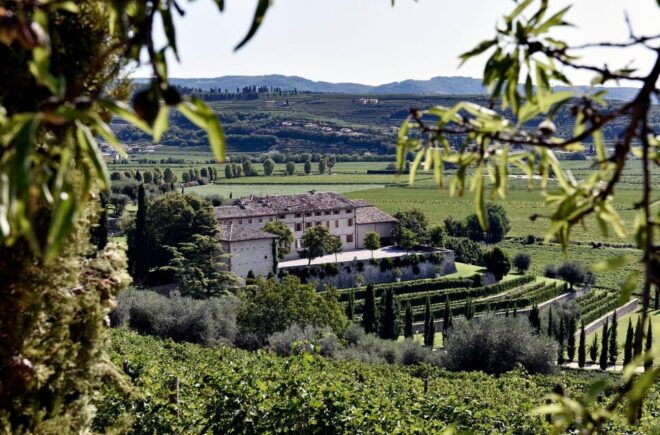 Valpolicella: Wine Tasting Experience in a Historic Villa - Wines Sampled and Pairings