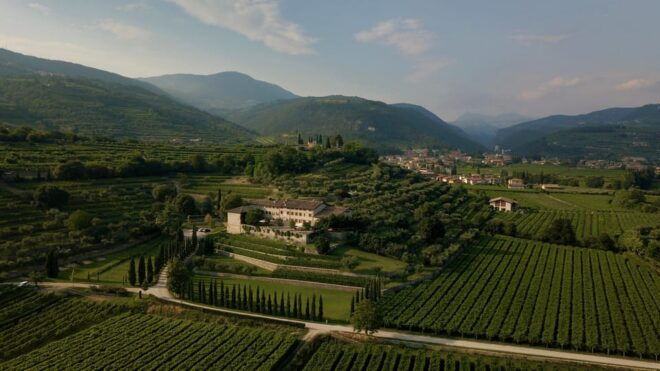 Valpolicella: Wine Tasting Experience in a Historic Villa - Preparing for the Tour