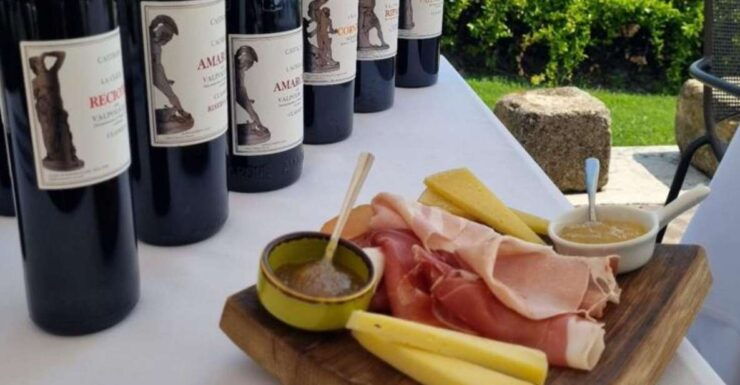 Valpolicella: Wine Tasting on a Spectacular Terrace - Activity Details