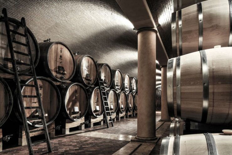 Valpolicella: Wine Tasting With A Sommelier and Light Lunch - Activity Details