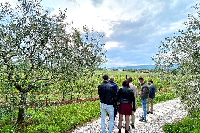 Valpolicella Wine Tour: 3 Wineries, Refined Lunch & Unique Amarone Tastings - Common Questions