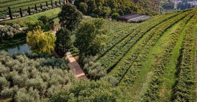 Valpolicella: Winery Tour, Blind Tasting & Light Lunch - Directions