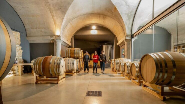 Valpolicella: Winery Tour With 4 Organic Wine Tasting - Good To Know