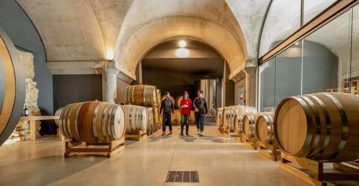 Valpolicella: Winery Tour With 4 Organic Wine Tasting - Activity Details