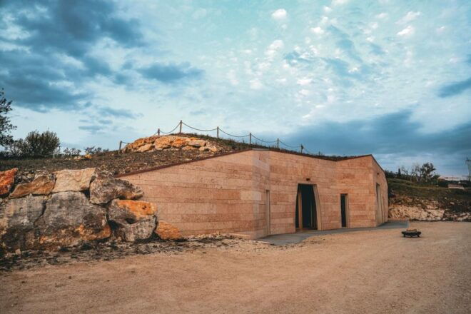 Valpolicella: Winery Tour With 4 Organic Wine Tasting - The Sum Up