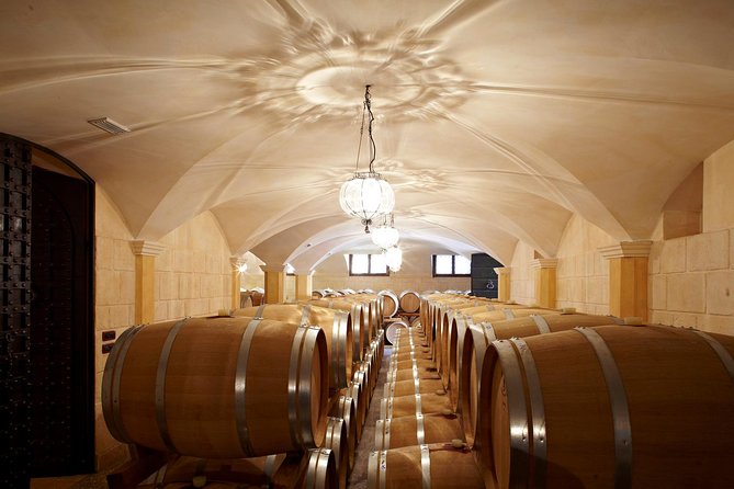 Valpolicella Winetour From Venice: Taste Amarone With Sommelier - Tour Overview