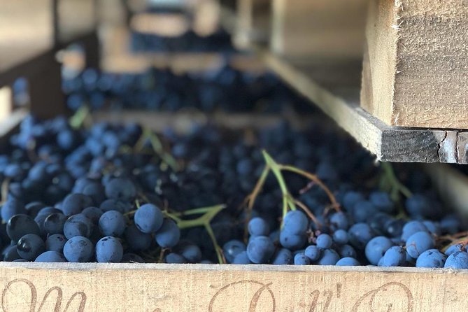 Valpolicella Winetour From Venice: Taste Amarone With Sommelier - Booking and Reservation