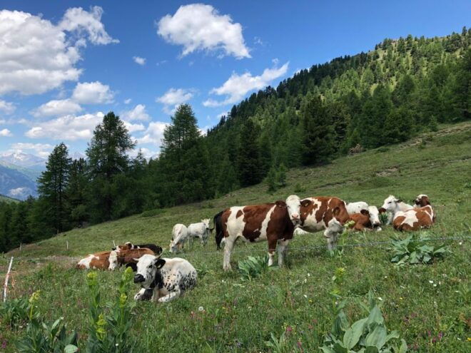 Valsusa. Bike Trip to the Black Lake - Price and Duration