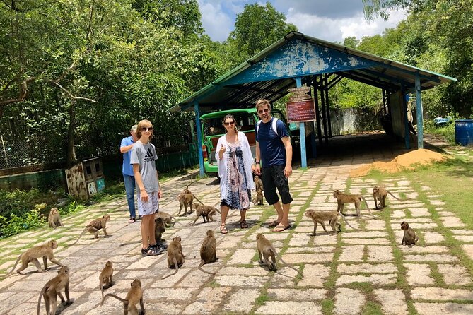 Vam Sat (Can Gio Mangrove Biosphere Reserve) Small-Group Trip - Ho Chi Minh City - Terms & Conditions