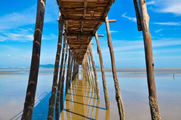 Vam Sat Mangrove Forest Private Tour From Ho Chi Minh City - Customer Reviews