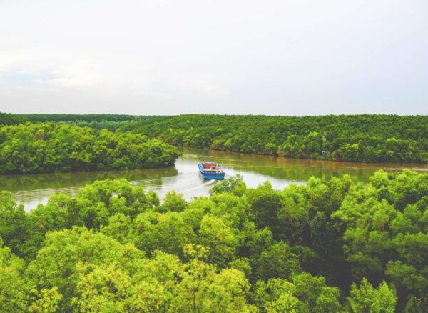 Vam Sat Mangrove Forest Private Tour From Ho Chi Minh City - Review Summary