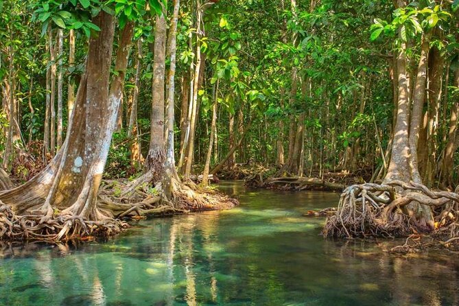 Vam Sat Mangrove Forest - VIP Private Tour From Ho Chi Minh City - Pricing and Booking
