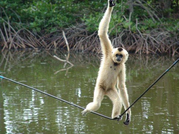 Vam Sat Mangrove Forest - VIP Private Tour From Ho Chi Minh City - Additional Information