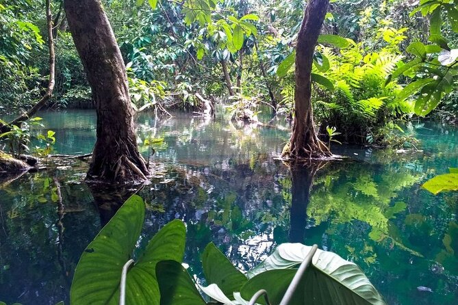 Vam Sat Mangrove Forest - VIP Private Tour From Ho Chi Minh City - Hotel Pickup
