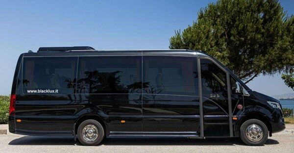 VAN 6 PAX TRANSFER FROM AIRPORT MILANO MALPENSA TO TREMEZZO - Additional Services and Assistance