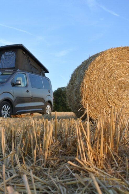 Van Experience - Activity Information